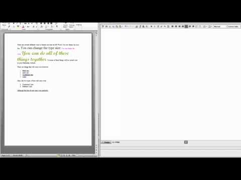 24. Copying from MS Word - DNN Video Tutorial - Embolden
