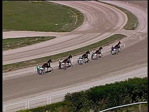 Trotto 19/10/2019 - 1ª prova di qualifica