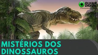 Miniatura do vídeo