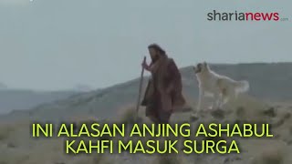 Download lagu Ini Alasan Anjing Ashabul Kahfi bisa Masuk Syurga mp3 Download lagu Ini Alasan Anjing Ashabul Kahfi bisa Masuk Syurga mp3