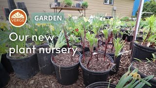 Make Money Selling Plants in Your Backyard! - Our New Plant Nursery