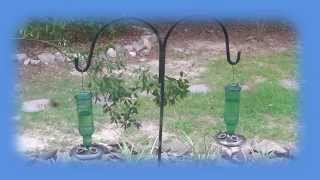 Any Day Now (My Wild Beautiful Bird) -  Chuck Jackson