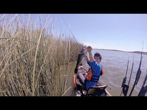 GoPro: Gregory Blanchard - Best Catch 7.15.15 - Fish