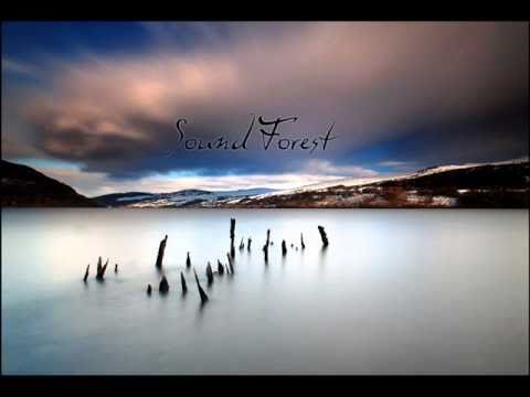 Sound Forest (2008) for tape by Panayiotis Kokoras