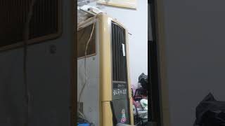 Rắn Hổ Chúa 0528560233