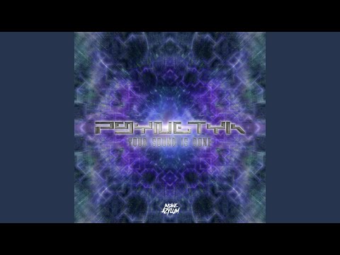 Psynetyk (Your Sound Is Done)