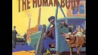 Freedom - Roger and The Human Body