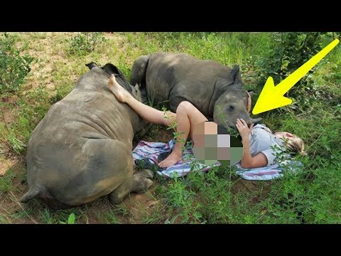 Cewek ini Rela Tidur dan TUBUHnya Di Gituin Sama BADAK. Ternyata itu Sudah Jadi Kebiasaan..