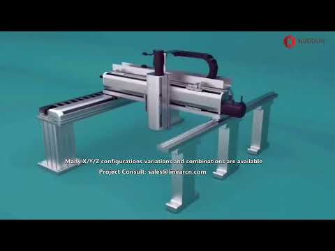 3 Axis Gantry Robot，Linear Gantry Robot System