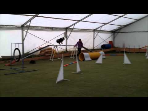 Trénink agility - 11.10.2015