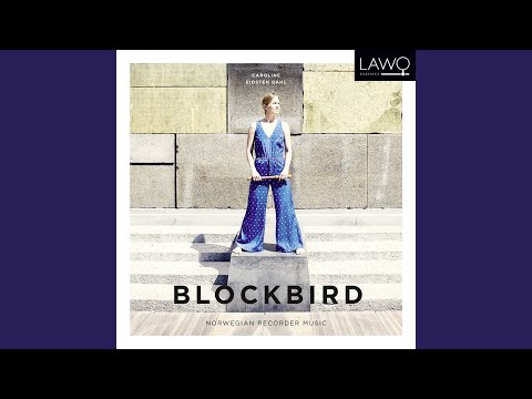 Fugler i min natt: I. Allegro Moderato