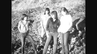 Wild Flag - Something Came Over Me