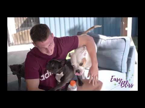 Client video testimonial