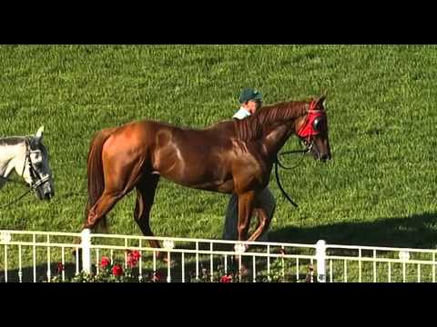 Ascot, 06/02/2016 - Race 7 - KEYSBROOK - Phil Humann & Aaron Mitchell