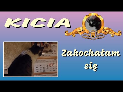 Gadała baba do obrazu