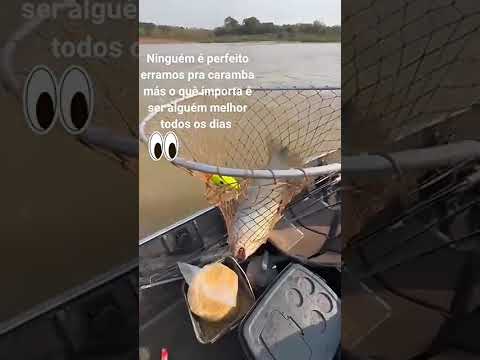 Rio IVAÍ GUAPOREMA PR