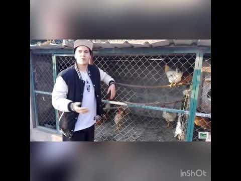 JVST FLY DA DEEP WEB X MIVERSO - SPORTING/MOTIVAÇÃO