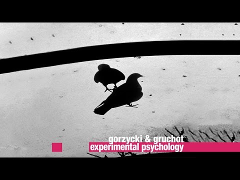 Gorzycki & Gruchot - Experimental Psychology