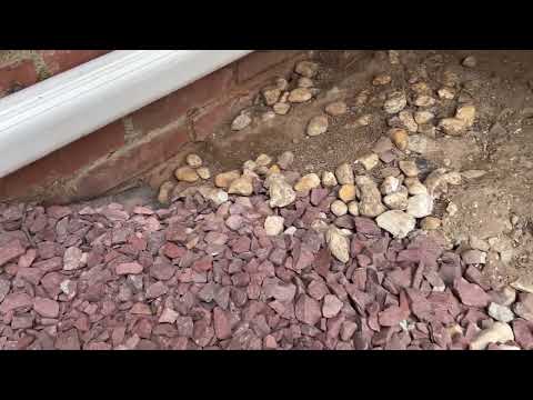 Rats Burrowing Around the Home in Mantoloking, NJ