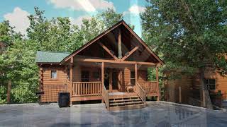 854 Black Bear Cub way