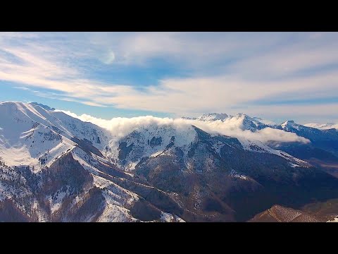 Rolling Fog, Mountain Mist