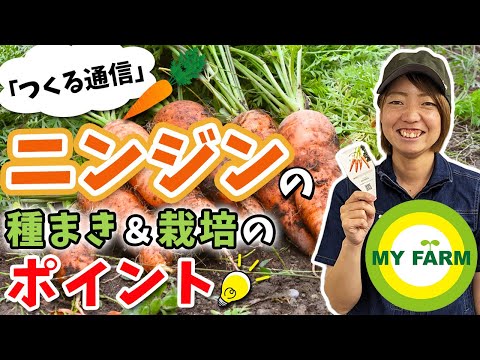 ニンジンとどんな関係があるの？