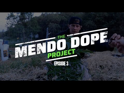 THE "MENDO DOPE" PROJECT - EP 3 (SAVAGE A** FARMERS)
