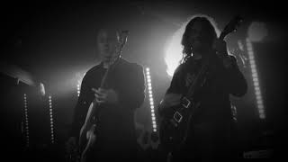 the mystical words of the wise-ROOT