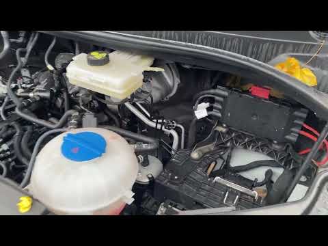 Transporter - MAN TGE 3.140 (2024)