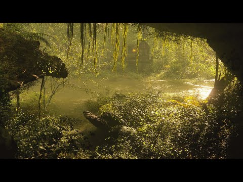 Misty Forest By Catremania