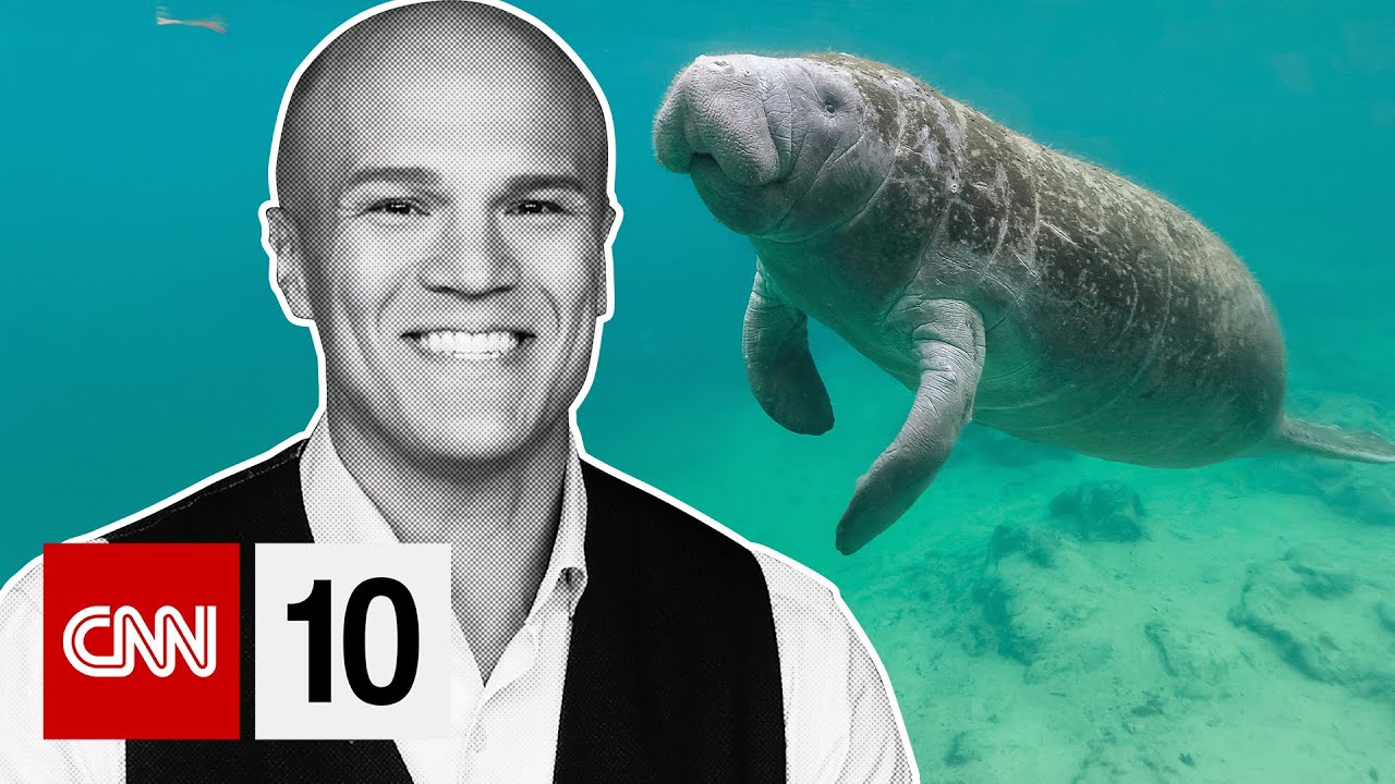 Why manatees are starving in Florida | May 2, 2025