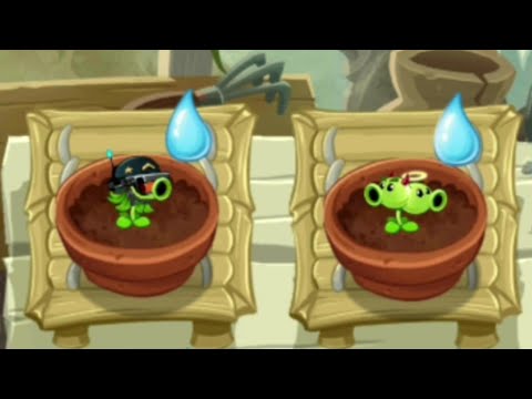 All Animation Peashooter Plants In Zen Garden - Plants Vs. Zombies 2