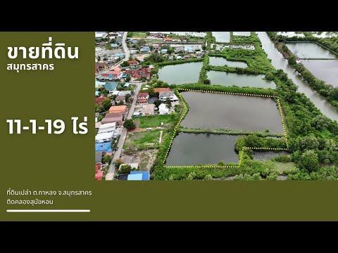 📍ขายที่ดินสมุทรสาคร ต.กาหลง อ.เมือง ติดคลองสุนัขหอน📍จากถนนพระราม2 เพียง 900 ม. – รูปที่ 2