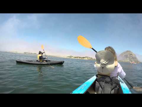Kayaking at Morro Bay, 4K UHD