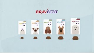 ¿Cómo funciona Bravecto Información para Veterinarios