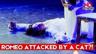 Hilarious Cat Steals The Show During Tragic Romeo & Juliet Ballet Final Scene | No Intervals