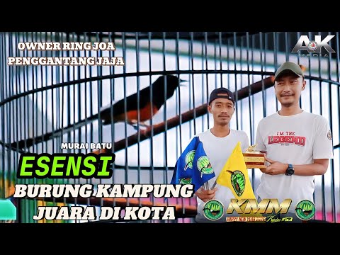 CAN VILLAGE BIRDS BE CHAMPIONS IN THE CITY? KMM KOPDAR #53 BALEKOTA ARENA