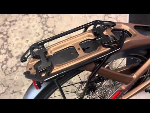 Bianchi E Omnia T type Bronze