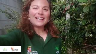 La Naturaleza de Castilla y León, ¡siempre te esperará¡
