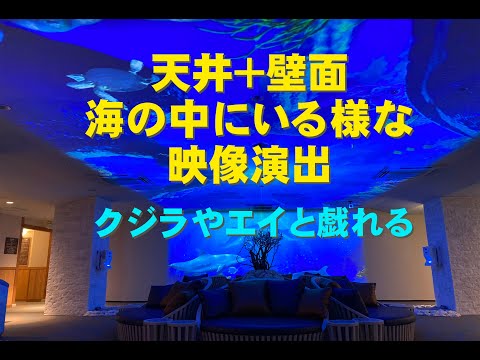 天井と壁面、海の中にいる様な映像演出