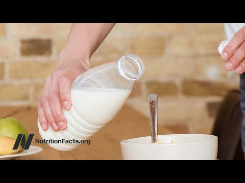 Fever Benefits for Autism in a Food