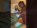 Silver Yamato watermelon that I grew! Take a look at the first taste! Seeds from Baker Creek Seeds