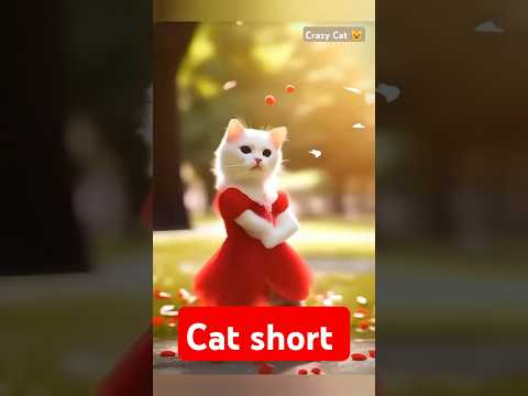 Super cat dance #cuteanimals 😍😍 #cutecat #cutedog #cuteanimaldance #cutedog🥀