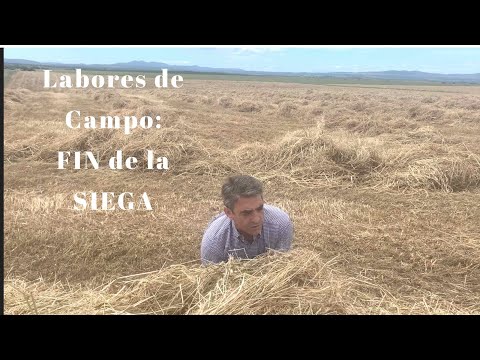 LABORES DE CAMPO: Fin de la SIEGA