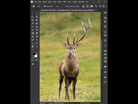 Photoshop Tips 2025 - Tips using Clone Stamp Tool like a PRO #ducthangds