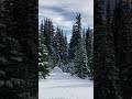 Mount Rainier In November 2023 Nature Mountains