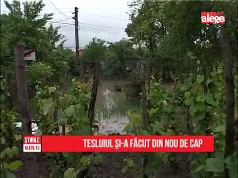 Tesluiul și-a făcut din nou de cap