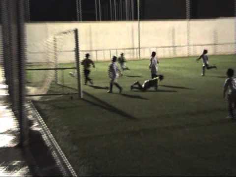 resumen benameji - sur fundación ccf.avi