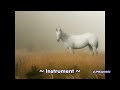 Dan Fogelberg - Souvenirs (Lyrics)