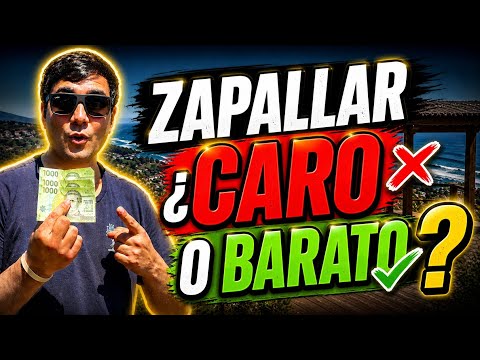 Parque El Boldo en Zapallar: ¿Vale la pena pagar $3.000 por esta vista?